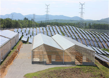 İyi bir fiyat. High Density Greenhouse Solar System Economical Planting Hot Dip Galvanized Steel Structure çevrimiçi