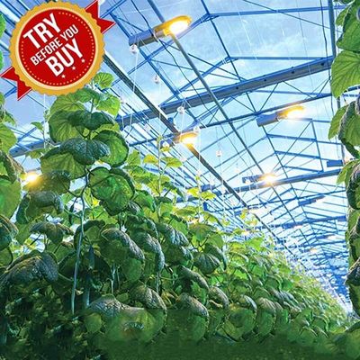 İyi bir fiyat. CE Steel Frame Mounting Winter Greenhouse Solar System Tin Film Module Support Structure For Green Space çevrimiçi