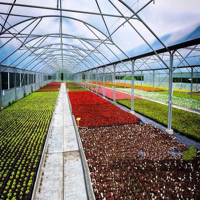 İyi bir fiyat. Acid Corrosion Resistant Q345B Frame Greenhouse Solar System çevrimiçi