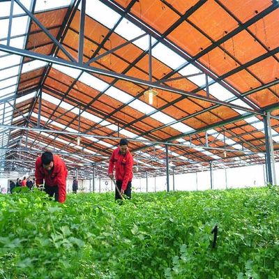 İyi bir fiyat. Hot Galvanized Steel Frame Thin Film Module Support Structure For Photovoltaic Greenhouses çevrimiçi