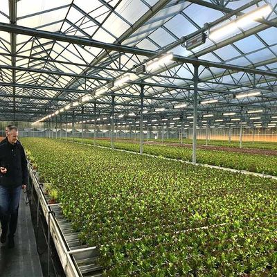 İyi bir fiyat. Corrosion Resistance Agriculture Solar Energy Greenhouse 2.0mm 2.5mm Thickness çevrimiçi