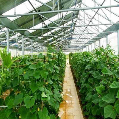 İyi bir fiyat. Galvanized Anodized Solar PV Greenhouse With Shading System çevrimiçi