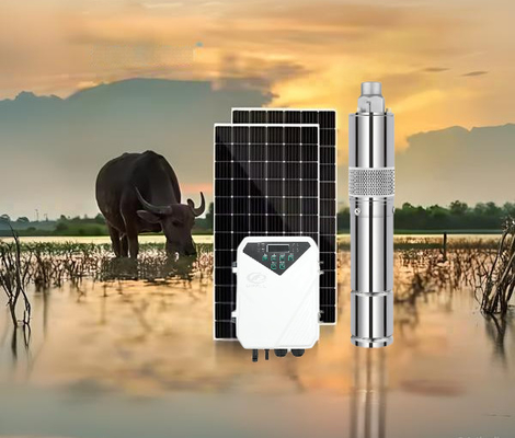 İyi bir fiyat. Optimum Input Voltage 60V-90V DC Solar Water Pump with MPPT Controller Type and Max Flow 3.8m3/h çevrimiçi