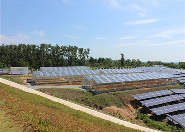 İyi bir fiyat. Single Span Greenhouse Solar System Agriculture Plant Warm House Metallic Structure çevrimiçi