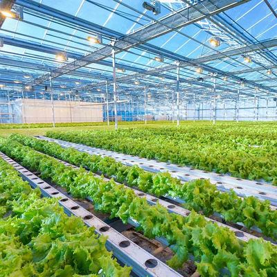 İyi bir fiyat. Intelligent Adjustable Height Greenhouse  Lightweight Solar System Frame Photovoltaic Agricultural Mounting Structure çevrimiçi