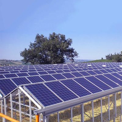 İyi bir fiyat. Sustainable Steel On Off Grid Greenhouse Solar System çevrimiçi