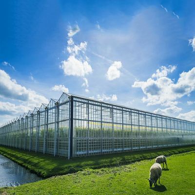 İyi bir fiyat. Multi Purpose 500KW BIPV Greenhouse Solar System çevrimiçi