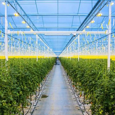 İyi bir fiyat. Agricultural Galvanized Steel Frame Solar PV Greenhouse çevrimiçi