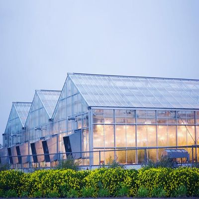 İyi bir fiyat. Galvanized 12mm Thickness Film Greenhouse Solar System çevrimiçi