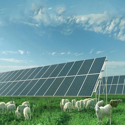 İyi bir fiyat. Galvanized Base Metal Solar Panel Ground Mounting Systems Structure çevrimiçi