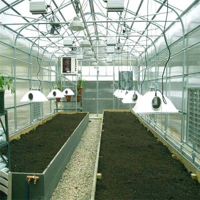 İyi bir fiyat. Open Ground Steel Frame Greenhouse Solar Mounting Systems çevrimiçi