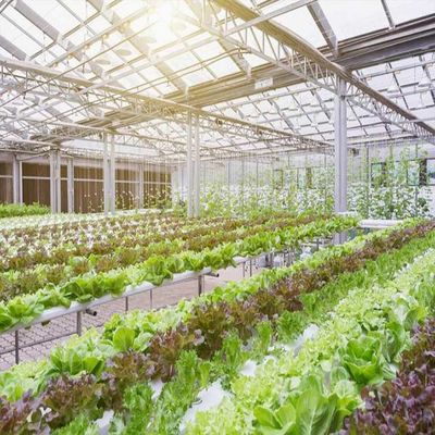 İyi bir fiyat. 10-60 ° Horizontal Vertical Greenhouse Solar Systems 36.9m/S wind Load çevrimiçi