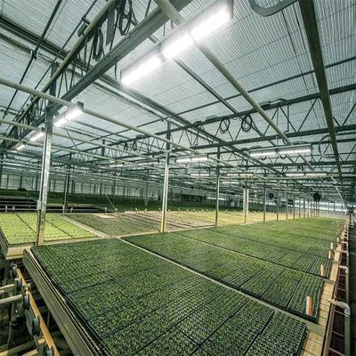 İyi bir fiyat. A Frame Outdoor Irrigation Agricultural Solar Powered Greenhouse çevrimiçi