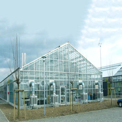 İyi bir fiyat. Galvanized Steel Frame Structure Greenhouse Solar System for Farm çevrimiçi