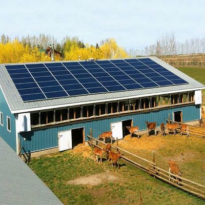 İyi bir fiyat. Galvanized Ground Mounted Solar System For Greenhouse çevrimiçi