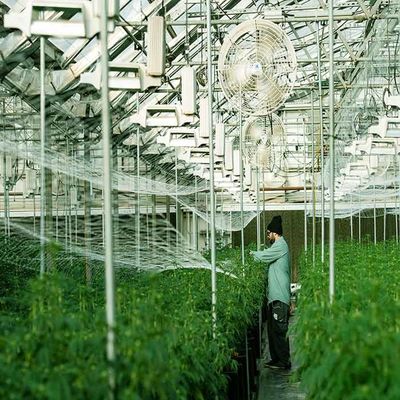 İyi bir fiyat. Galvanized Stainless Steel Greenhouse Solar Mounting Structure çevrimiçi
